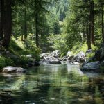 Est-ce que l’eau Courmayeur fait maigrir ?