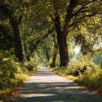 Perdre 10 kg en 2 semaines avec savoirmaigrir.fr