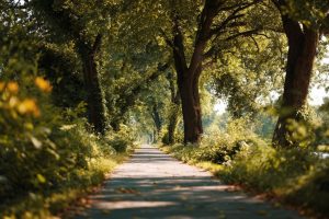 Perdre 10 kg en 2 semaines avec savoirmaigrir.fr